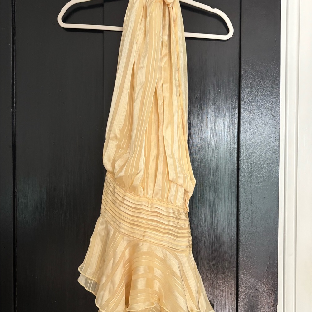 Peppermayo Willow Chiffon Mini Dress